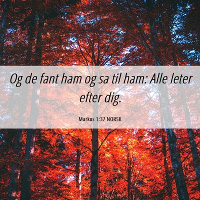 Picture 06 - Markus 1:37 NORSK - Og de fant ham og sa til ham: Alle leter efter - Bible Verse Picture