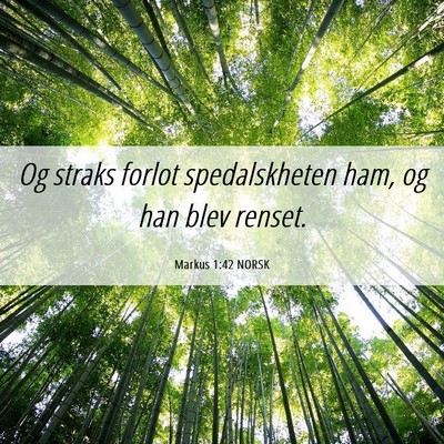 Picture 06 - Markus 1:42 NORSK - Og straks forlot spedalskheten ham, og han blev - Bible Verse Picture