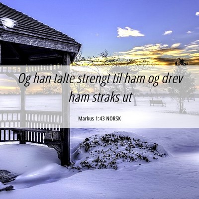 Picture 06 - Markus 1:43 NORSK - Og han talte strengt til ham og drev ham straks - Bible Verse Picture