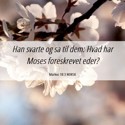Picture 06 - Markus 10:3 NORSK - Han svarte og sa til dem: Hvad har Moses - Bible Verse Picture