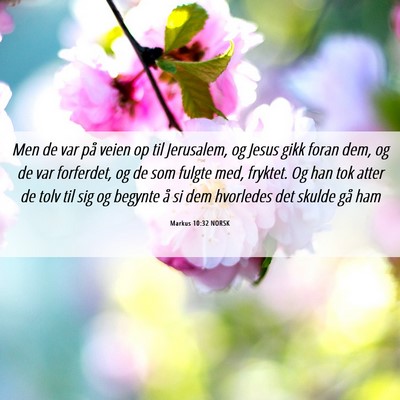 Picture 06 - Markus 10:32 NORSK - Men de var på veien op til Jerusalem, og Jesus - Bible Verse Picture