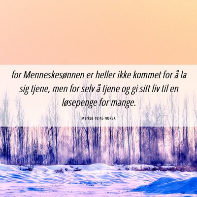 Picture 06 - Markus 10:45 NORSK - for Menneskesønnen er heller ikke kommet for å - Bible Verse Picture