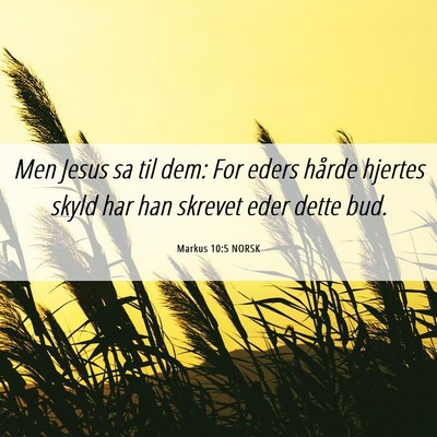 Picture 06 - Markus 10:5 NORSK - Men Jesus sa til dem: For eders hårde hjertes - Bible Verse Picture