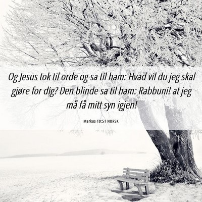 Picture 06 - Markus 10:51 NORSK - Og Jesus tok til orde og sa til ham: Hvad vil du - Bible Verse Picture