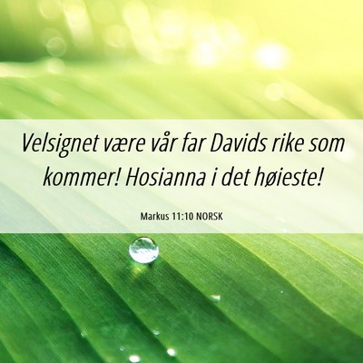 Picture 06 - Markus 11:10 NORSK - Velsignet være vår far Davids rike som kommer! - Bible Verse Picture
