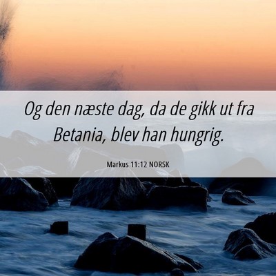 Picture 06 - Markus 11:12 NORSK - Og den næste dag, da de gikk ut fra Betania, - Bible Verse Picture