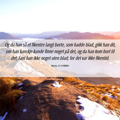 Picture 06 - Markus 11:13 NORSK - Og da han så et fikentre langt borte, som hadde - Bible Verse Picture