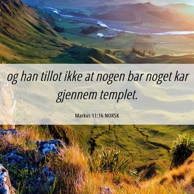 Picture 06 - Markus 11:16 NORSK - og han tillot ikke at nogen bar noget kar gjennem - Bible Verse Picture