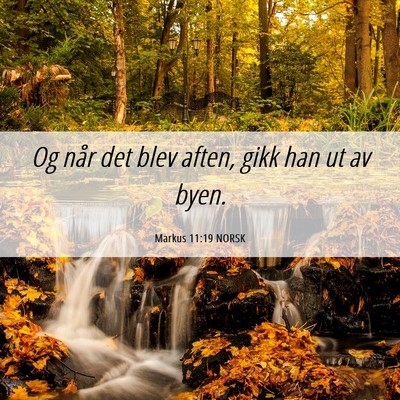 Picture 06 - Markus 11:19 NORSK - Og når det blev aften, gikk han ut av - Bible Verse Picture