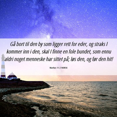 Picture 06 - Markus 11:2 NORSK - Gå bort til den by som ligger rett for eder, og - Bible Verse Picture