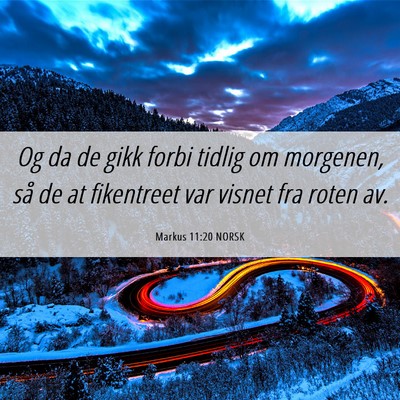 Picture 06 - Markus 11:20 NORSK - Og da de gikk forbi tidlig om morgenen, så de at - Bible Verse Picture