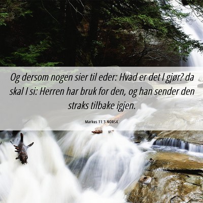 Picture 06 - Markus 11:3 NORSK - Og dersom nogen sier til eder: Hvad er det I - Bible Verse Picture