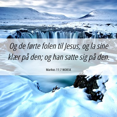 Picture 06 - Markus 11:7 NORSK - Og de førte folen til Jesus, og la sine klær - Bible Verse Picture