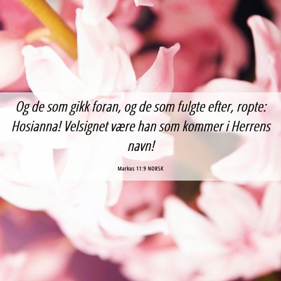 Picture 06 - Markus 11:9 NORSK - Og de som gikk foran, og de som fulgte efter, - Bible Verse Picture