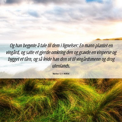 Picture 06 - Markus 12:1 NORSK - Og han begynte å tale til dem i lignelser: En - Bible Verse Picture