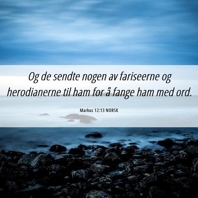 Picture 06 - Markus 12:13 NORSK - Og de sendte nogen av fariseerne og herodianerne - Bible Verse Picture