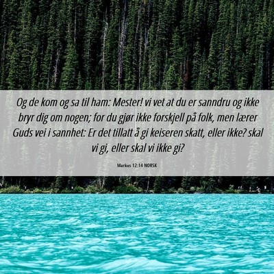 Picture 06 - Markus 12:14 NORSK - Og de kom og sa til ham: Mester! vi vet at du er - Bible Verse Picture