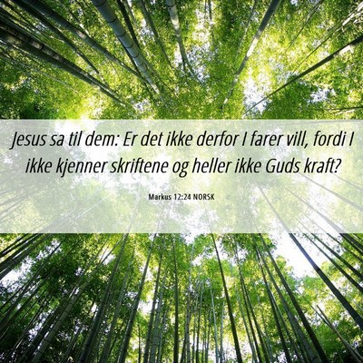 Picture 06 - Markus 12:24 NORSK - Jesus sa til dem: Er det ikke derfor I farer - Bible Verse Picture