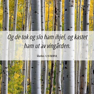Picture 06 - Markus 12:8 NORSK - Og de tok og slo ham ihjel, og kastet ham ut av - Bible Verse Picture