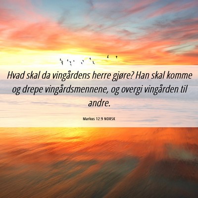 Picture 06 - Markus 12:9 NORSK - Hvad skal da vingårdens herre gjøre? Han skal - Bible Verse Picture