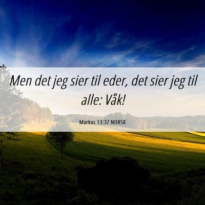 Picture 06 - Markus 13:37 NORSK - Men det jeg sier til eder, det sier jeg til alle: - Bible Verse Picture