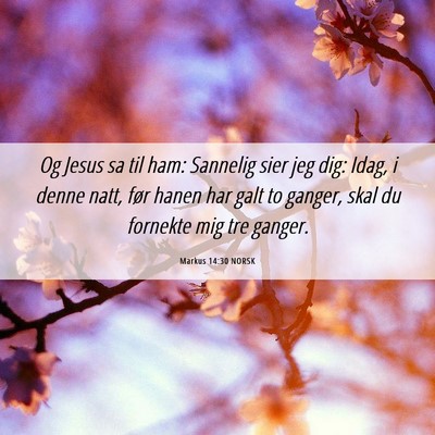 Picture 06 - Markus 14:30 NORSK - Og Jesus sa til ham: Sannelig sier jeg dig: Idag, - Bible Verse Picture