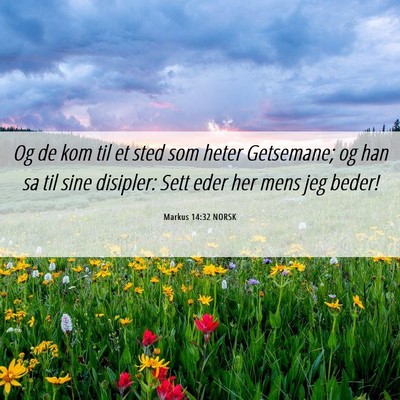 Picture 06 - Markus 14:32 NORSK - Og de kom til et sted som heter Getsemane; og han - Bible Verse Picture