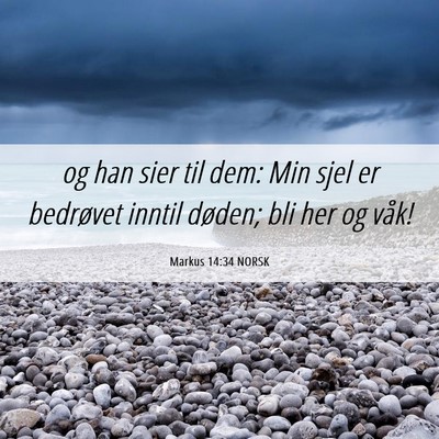 Picture 06 - Markus 14:34 NORSK - og han sier til dem: Min sjel er bedrøvet inntil - Bible Verse Picture
