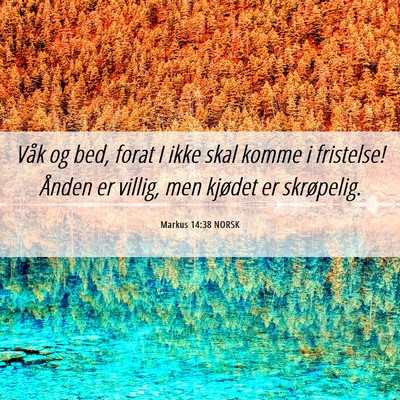 Picture 06 - Markus 14:38 NORSK - Våk og bed, forat I ikke skal komme i fristelse! - Bible Verse Picture
