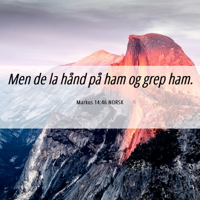 Picture 06 - Markus 14:46 NORSK - Men de la hånd på ham og grep - Bible Verse Picture