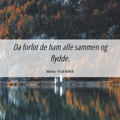 Picture 06 - Markus 14:50 NORSK - Da forlot de ham alle sammen og - Bible Verse Picture