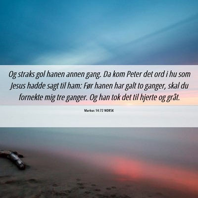 Picture 06 - Markus 14:72 NORSK - Og straks gol hanen annen gang. Da kom Peter det - Bible Verse Picture