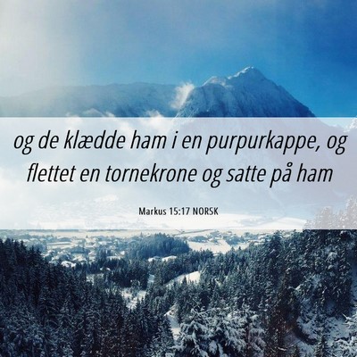Picture 06 - Markus 15:17 NORSK - og de klædde ham i en purpurkappe, og flettet en - Bible Verse Picture