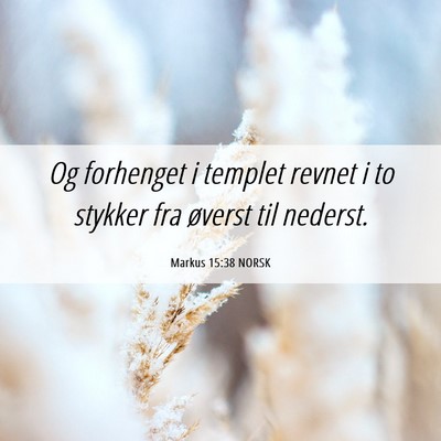 Picture 06 - Markus 15:38 NORSK - Og forhenget i templet revnet i to stykker fra - Bible Verse Picture