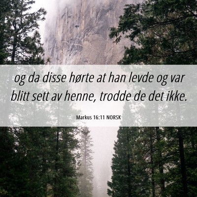 Picture 06 - Markus 16:11 NORSK - og da disse hørte at han levde og var blitt sett - Bible Verse Picture