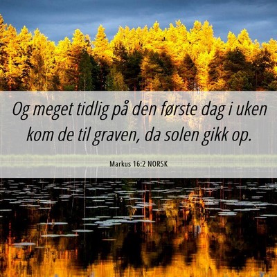 Picture 06 - Markus 16:2 NORSK - Og meget tidlig på den første dag i uken kom de - Bible Verse Picture