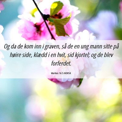 Picture 06 - Markus 16:5 NORSK - Og da de kom inn i graven, så de en ung mann - Bible Verse Picture