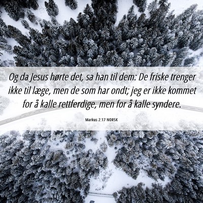 Picture 06 - Markus 2:17 NORSK - Og da Jesus hørte det, sa han til dem: De friske - Bible Verse Picture