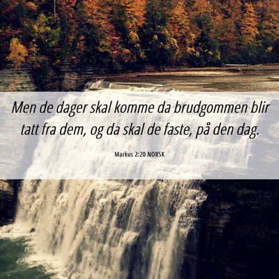 Picture 06 - Markus 2:20 NORSK - Men de dager skal komme da brudgommen blir tatt - Bible Verse Picture