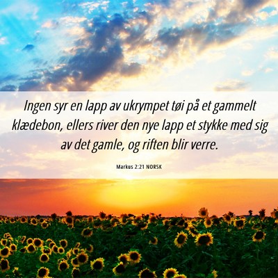 Picture 06 - Markus 2:21 NORSK - Ingen syr en lapp av ukrympet tøi på et gammelt - Bible Verse Picture
