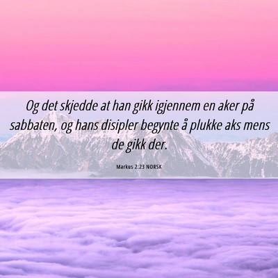 Picture 06 - Markus 2:23 NORSK - Og det skjedde at han gikk igjennem en aker på - Bible Verse Picture