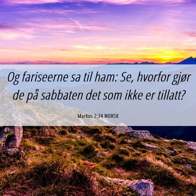 Picture 06 - Markus 2:24 NORSK - Og fariseerne sa til ham: Se, hvorfor gjør de - Bible Verse Picture