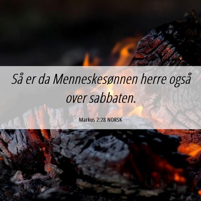 Picture 06 - Markus 2:28 NORSK - Så er da Menneskesønnen herre også over - Bible Verse Picture