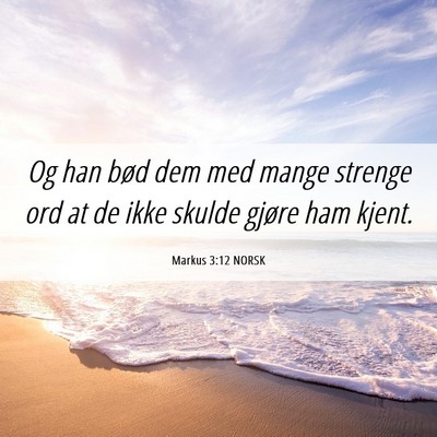 Picture 06 - Markus 3:12 NORSK - Og han bød dem med mange strenge ord at de ikke - Bible Verse Picture