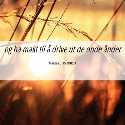 Picture 06 - Markus 3:15 NORSK - og ha makt til å drive ut de onde - Bible Verse Picture