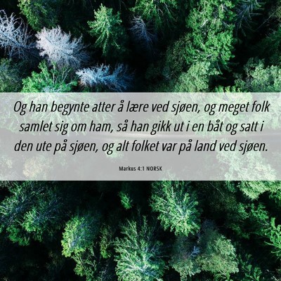 Picture 06 - Markus 4:1 NORSK - Og han begynte atter å lære ved sjøen, og - Bible Verse Picture