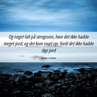 Picture 06 - Markus 4:5 NORSK - Og noget falt på stengrunn, hvor det ikke hadde - Bible Verse Picture