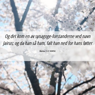 Picture 06 - Markus 5:22 NORSK - Og det kom en av synagoge-forstanderne ved navn - Bible Verse Picture