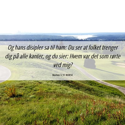Picture 06 - Markus 5:31 NORSK - Og hans disipler sa til ham: Du ser at folket - Bible Verse Picture
