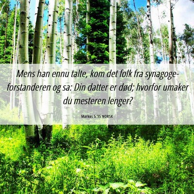 Picture 06 - Markus 5:35 NORSK - Mens han ennu talte, kom det folk fra - Bible Verse Picture